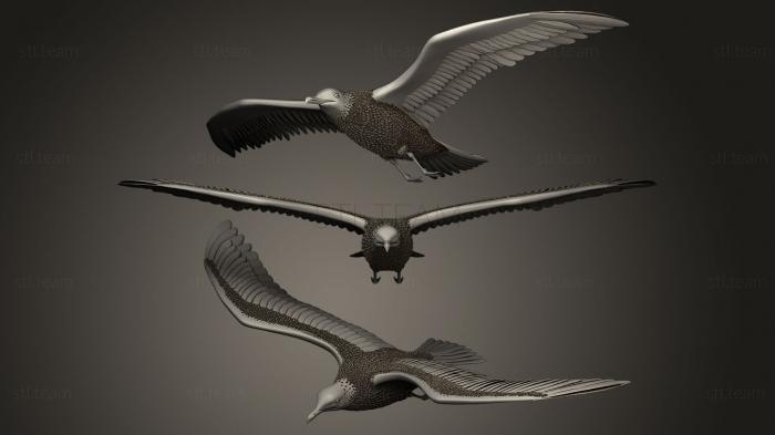 3D model Seagull (STL)